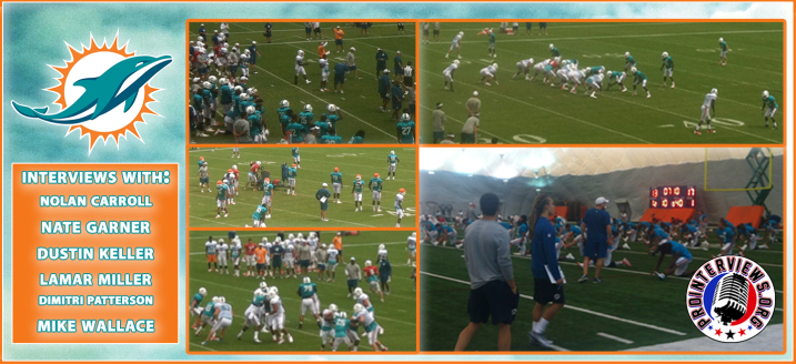 GRAPHIC phins CAMP